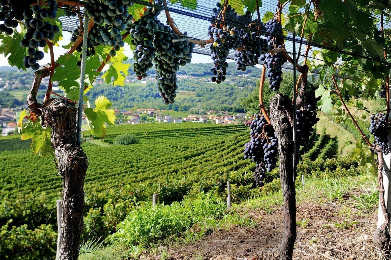 Conca Bella Boutique Hotel & Wine Experience Vacallo Kültér fotó